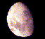 Bitmap Image